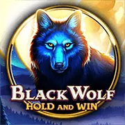 Đội ngũ hỗ trợ khách hàng chuyên nghiệp của đá gà trực tiếp casino 999