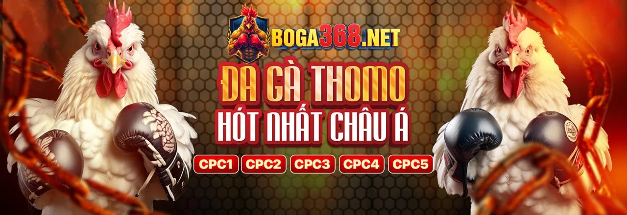 Hình ảnh sòng bạc trực tuyến