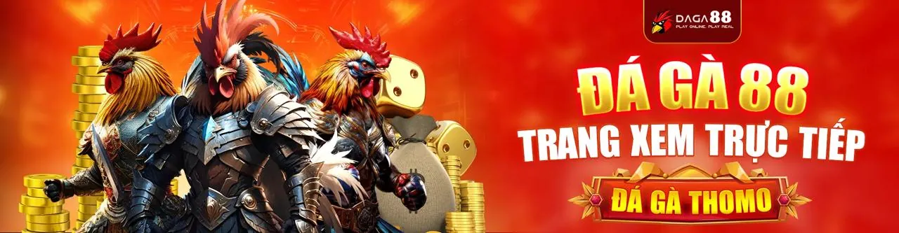 Công nghệ đá gà trực tiếp chất lượng cao tại đá gà trực tiếp casino 999